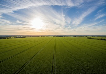 Stunning Aerial View of Vast Green Farmland Under a Dramatic Sky