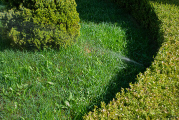 Smart irrigation system. Automatic smart lawn sprinkler watering green lawn grass in sunny day