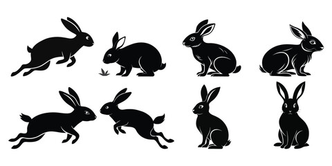 Black Rabbit Silhouettes Collection