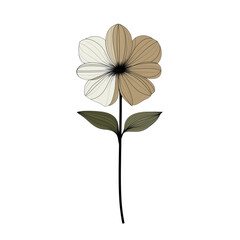 white flower isolated on white