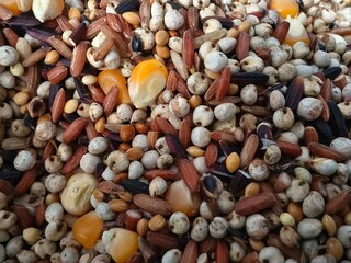 Birdseed Mixture close up photo