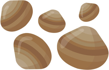 clam icon