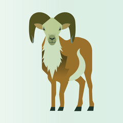 vector illustration of a goat