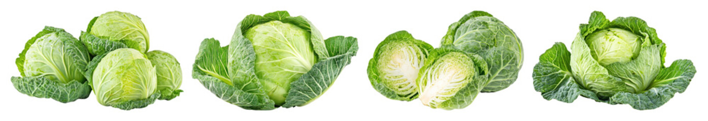 PNG Fresh green cabbage variety display, element set on transparent background