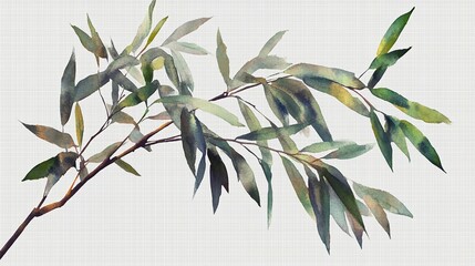 Bamboo watercolor illustration isolated on transparent png

