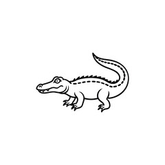 crocodile isolated on white