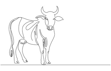 continuous line cow with head down,Domestic cattle. Animal. Linear minimal style. 