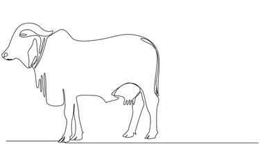 continuous line cow with head down,Domestic cattle. Animal. Linear minimal style. 