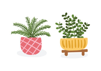 Set Hand drawn houseplant collection