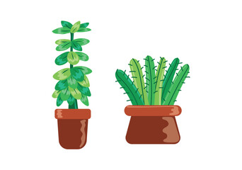 Set Hand drawn houseplant collection