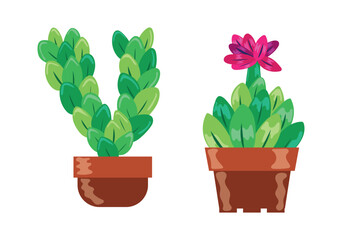 Set Hand drawn houseplant collection