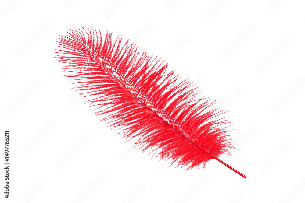 Poster a vibrant red feather with intricate details and soft texture, isolated on transparency background, 