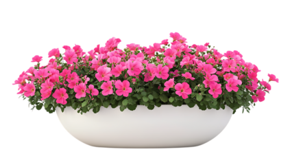 Pink million bells flowers in white oval planter