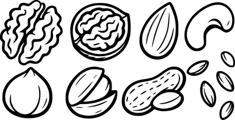 Set of line-art of nuts: walnuts, almond, cashew, hazelnut, pistachio, peanut and seeds
