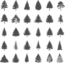 Obraz premium Set silhouettes of coniferous tree isolated on transparent background. Vector illustration