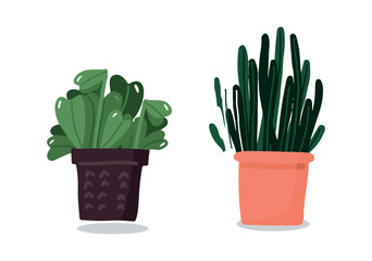 Set Hand drawn houseplant collection