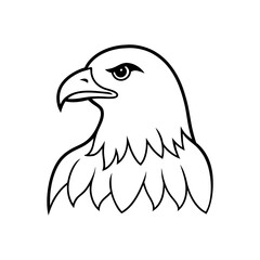 Obraz premium Vector illustration of bald Eagle.