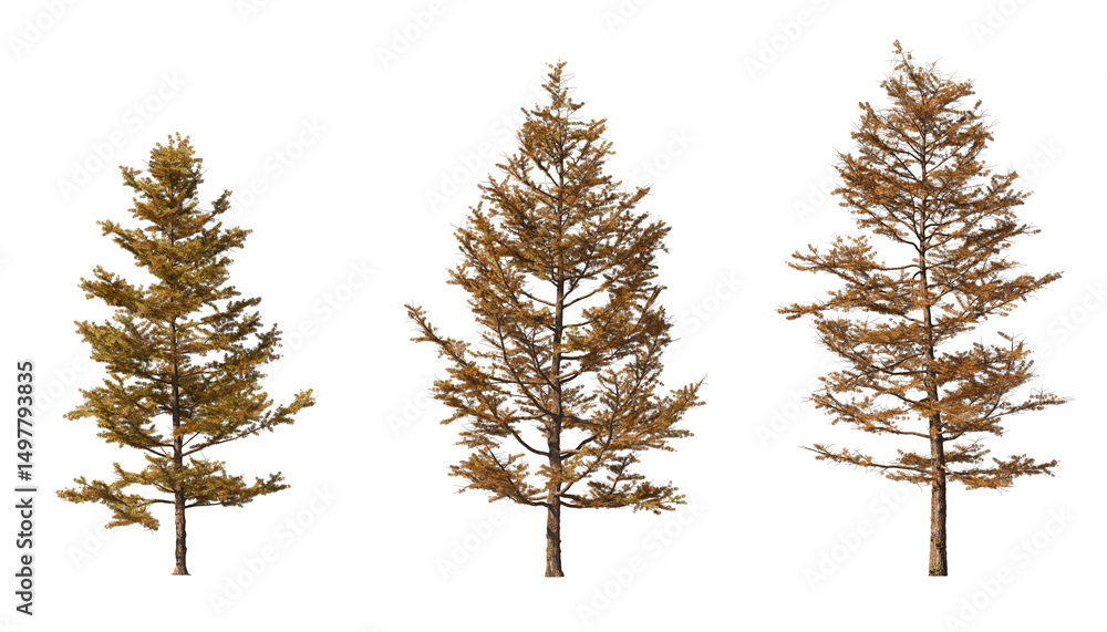 Poster realistic autumn trees collection on transparent backgrounds. high quality 3d rendering. png format