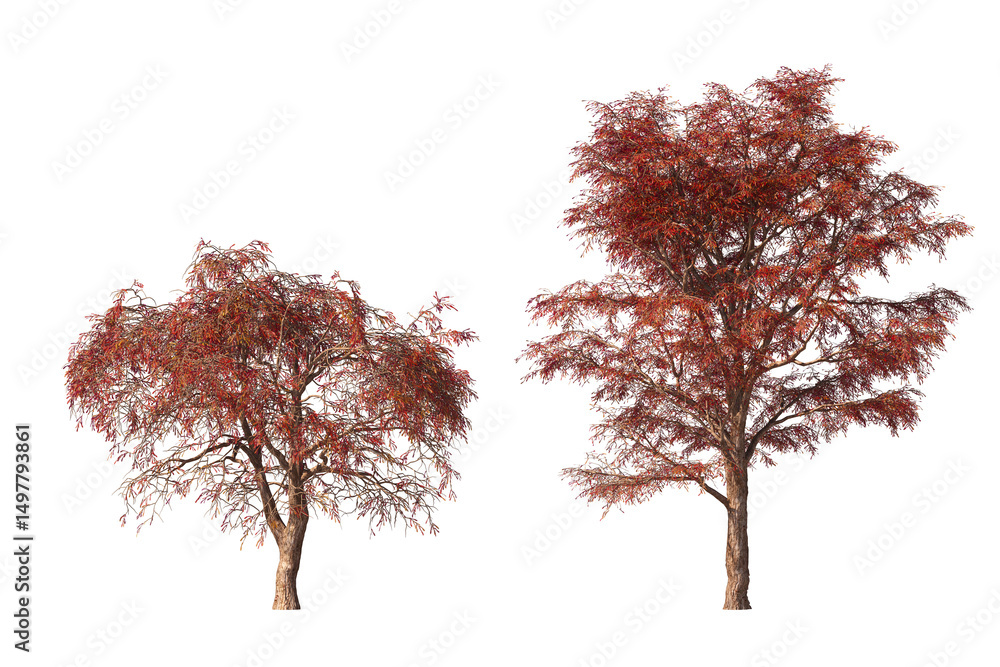 Aufkleber realistic autumn trees collection on transparent backgrounds. high quality 3d rendering. png format