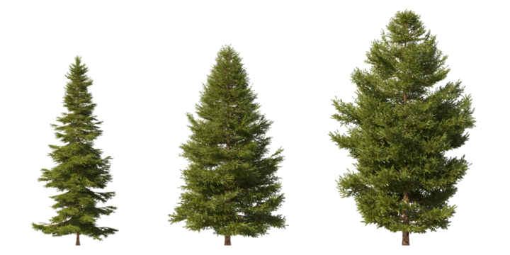 Realistic greenery forest trees collection on transparent backgrounds. high quality 3d rendering. png format	