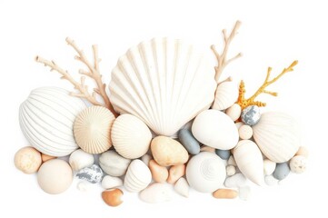 Seaside Treasures Watercolor