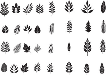 leaf set variation.eps