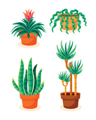Set Hand drawn houseplant collection