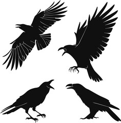 Crow and Raven Silhouettes