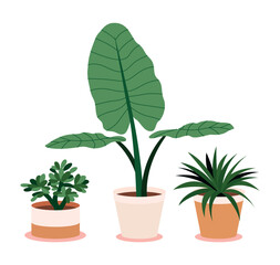 Set Hand drawn houseplant collection