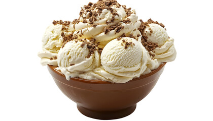 Vanilla ice cream dessert bowl