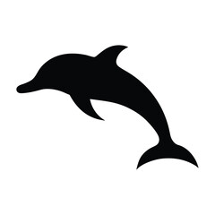 sleek Dolphin