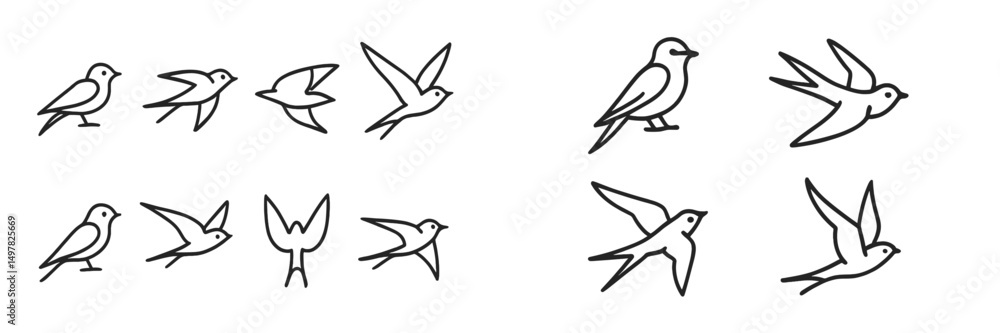 Leinwandbilder various illustrations of birds in different flying poses and standing positions showcasing their dyn