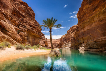 Mirrored Canyon Oasis 03
