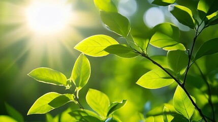 green leaves on a branch