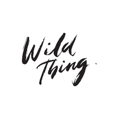 Obraz premium Stylish calligraphy text logo Wild Thing