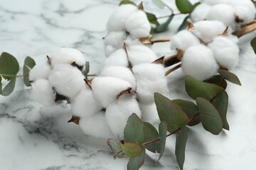 Eucalyptus branches and cotton flowers on white marble table, closeup