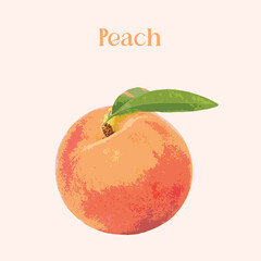 Simple peach vector illustration with soft muted tone. Peach clip art in vector format