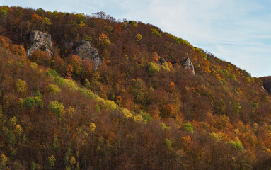 Albtrauf am Übersberg in Herbstfarben