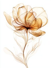 A serene ambiance is created through the delicate illustration of flowers in soft brown and cream tones, complete with elegant blossoms, intricate details, and flowing lines
