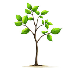 A vibrant young sapling with bright green leaves, freshly planted in light soil