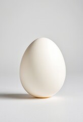 Fresh white egg on a clean background, perfect for food or cooking themes.