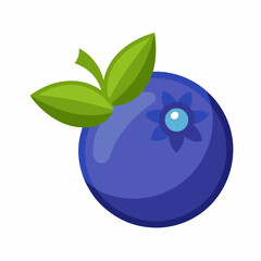 blueberry fruit vector icon on white background