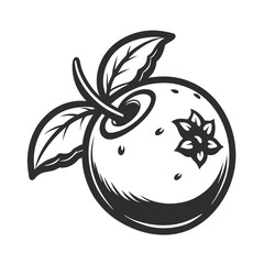 blueberry fruit vector icon on white background