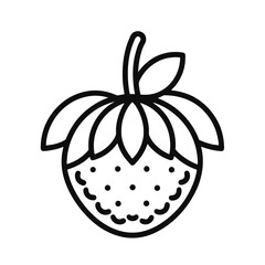 lychee fruit vector icon on white background