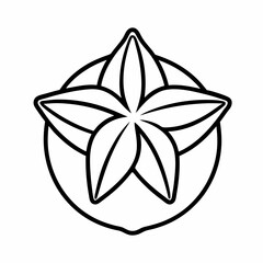 Star carambola fruit vector icon on white background