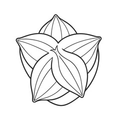 Star carambola fruit vector icon on white background