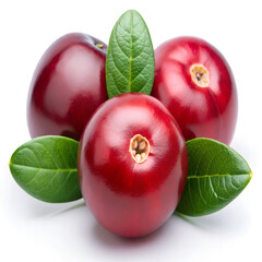 Three ripe cranberries with green leaves isolated on white background