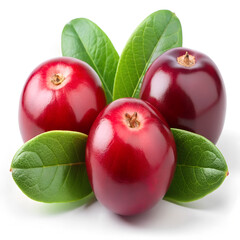 Three ripe cranberries with green leaves isolated on white background