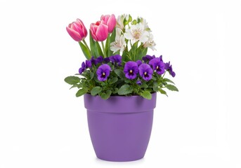 Flowers in pot isolated on white background