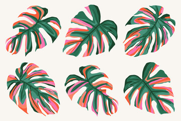 Colorful tropical leaves vector set. Monstera, palm leaf, botanical and jungle leaves design for nature background, backdrop, tropic cover, summer banner, wallpaper, elements, pattern and prints. © Udomdech